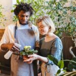 Tips for Keeping Houseplants Healthy and Thriving